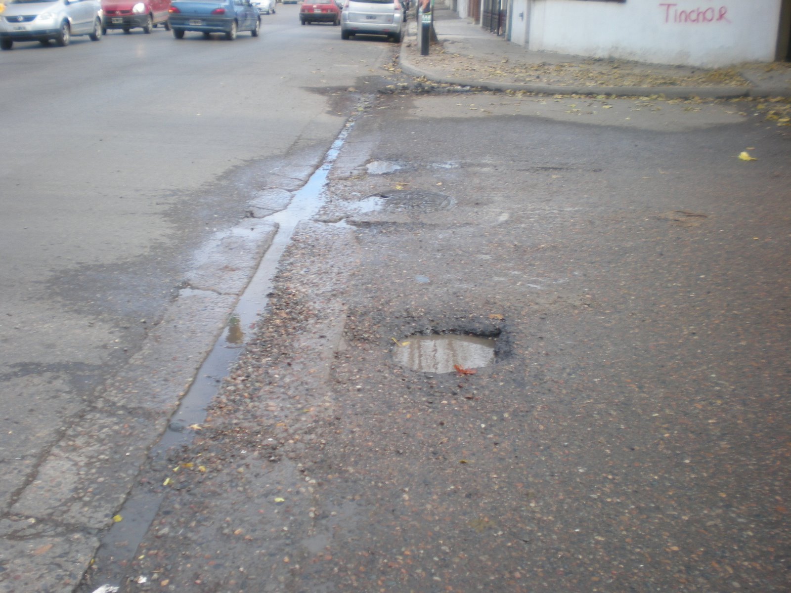 bache