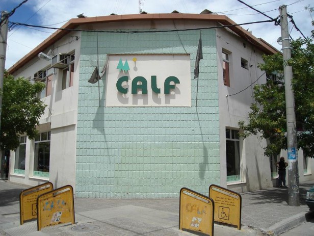 calf