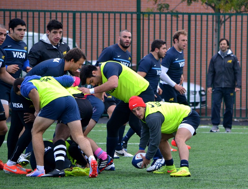 los pumas francia