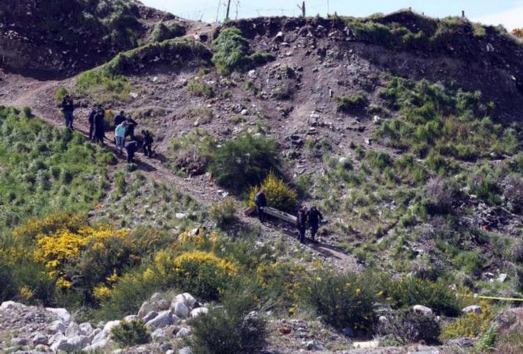 BCH Cantera municipal muerto02.jpg