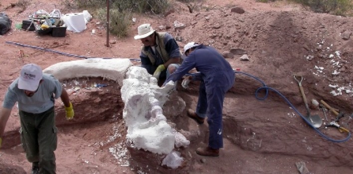 Paleontología-708x350