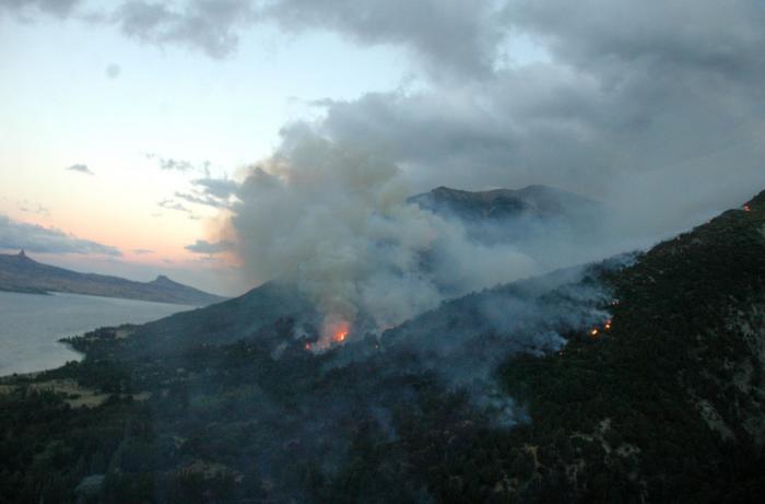 imagen (15)