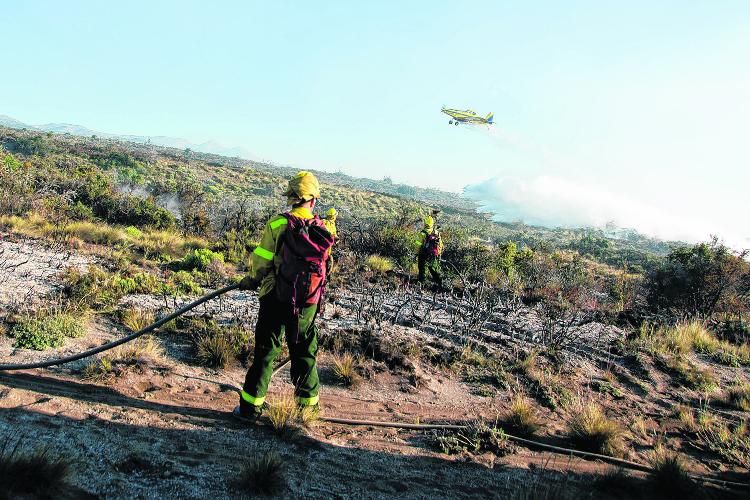 Bariloche 04/01/15 Incendio en la Ruta 40 camino a Villa La Angostura