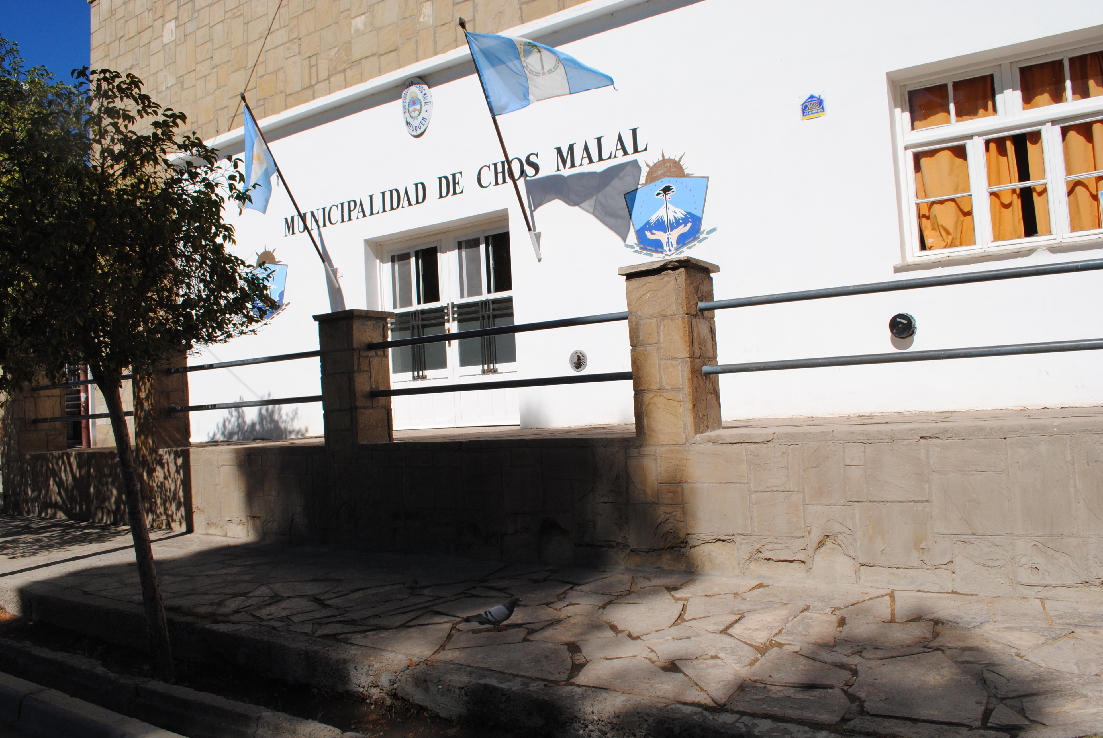 municipalidad-chos-malal-001