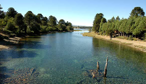16mar2015_pehuenia