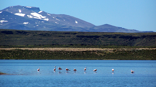 31mar2015_laguna_blanca