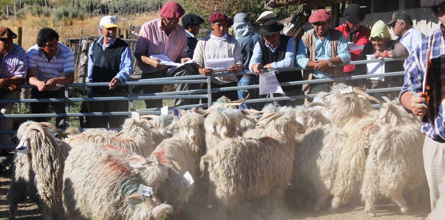 Feria-anual-de-Paso-Aguerre-708x350@2x