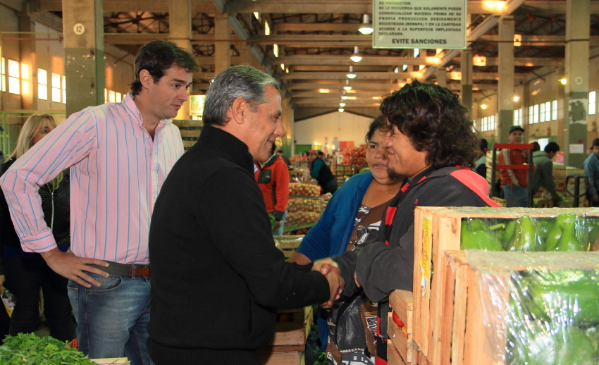 Quiroga-Mercado Concentrador