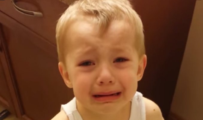 El conmovedor video de un niño que se despide de su mascota