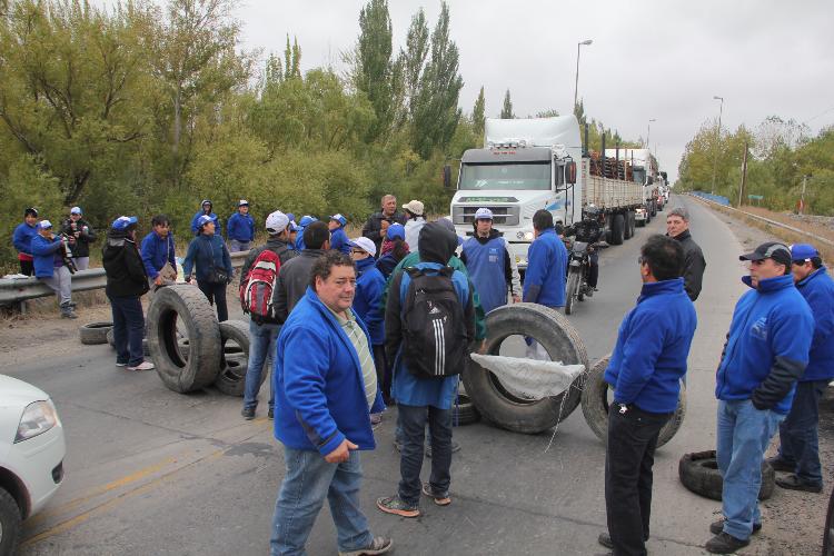 imagen (1)