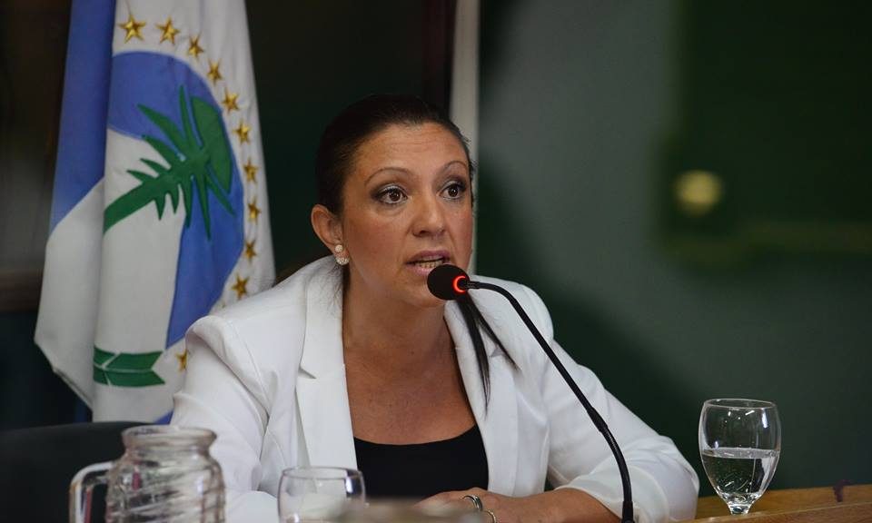 inicio_concejo_2015