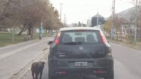 11377278_889403891117758_8289431038553907735_n