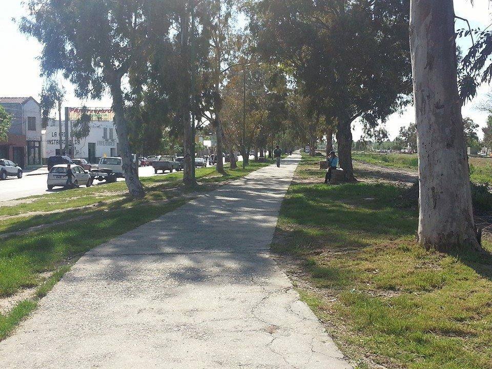 Avanzan obras de parquización y riego en el parque Primeros Pobladores