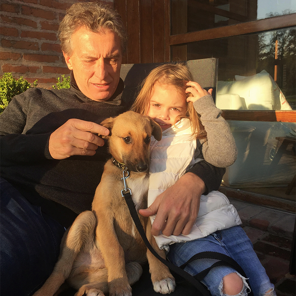 Macri-Perro