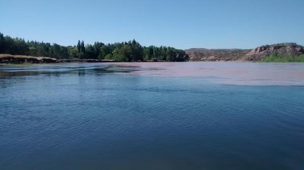 paseo-confluencia-6