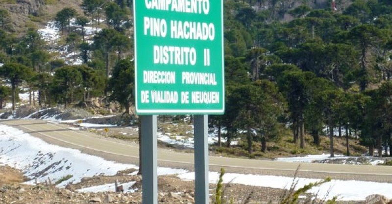 Gentileza-Vialidad-provincial-Paso-Pino-Hachado-800x417