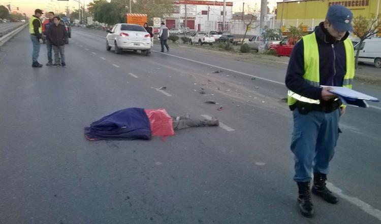 imagen (1)