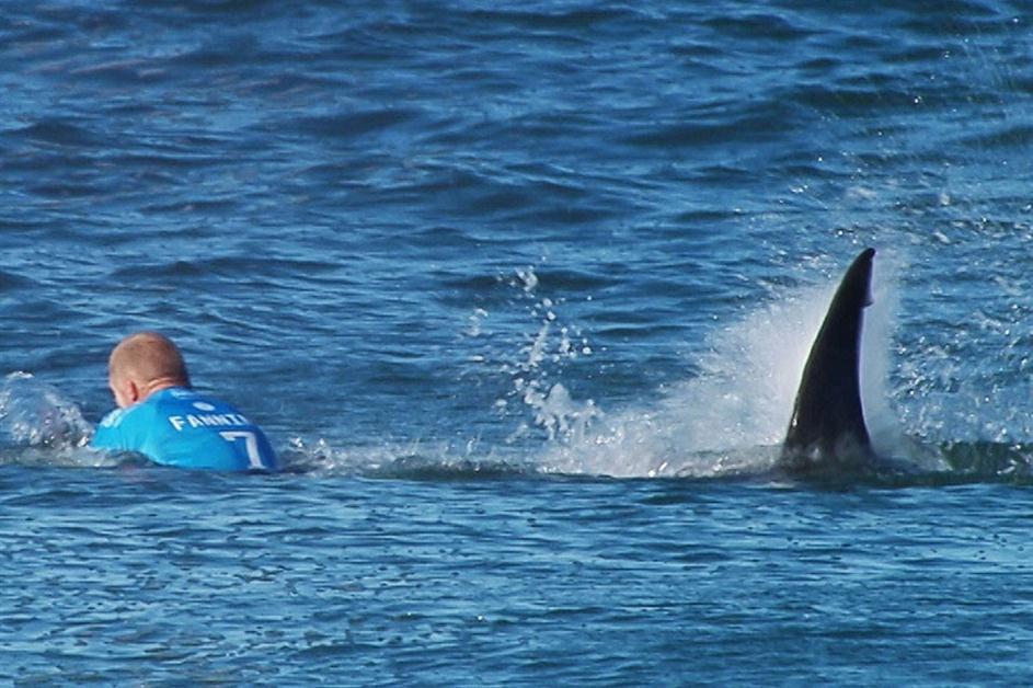 Surfista fue atacado por un tiburón en medio de un certamen