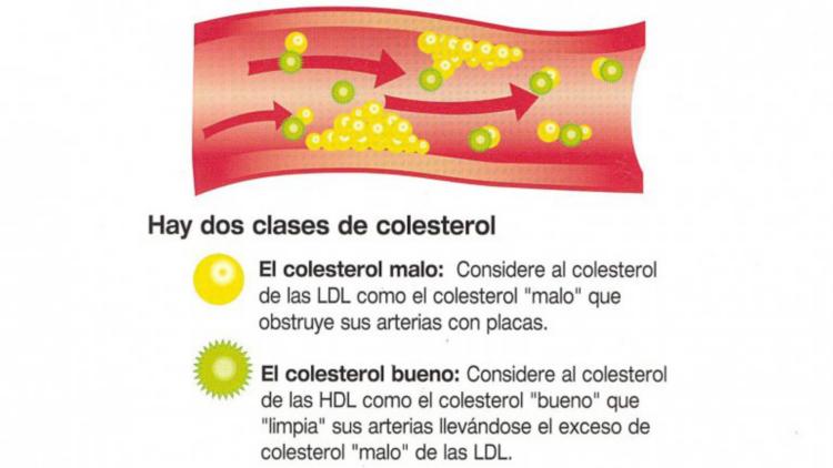 imagen (2)