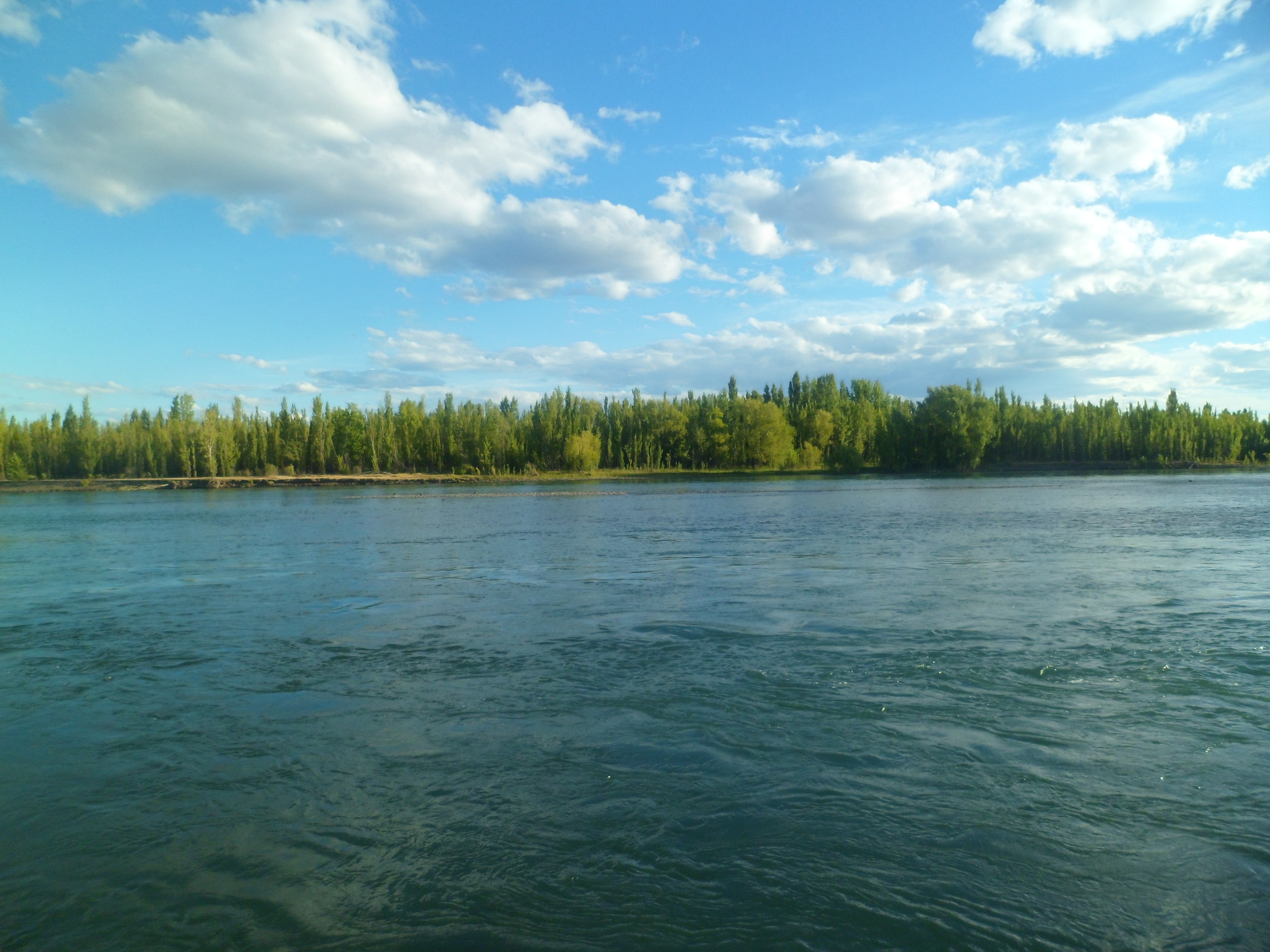 SAM_1543