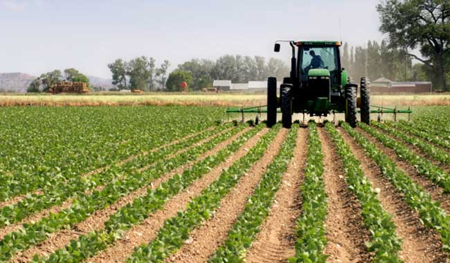 agricultor-inaes