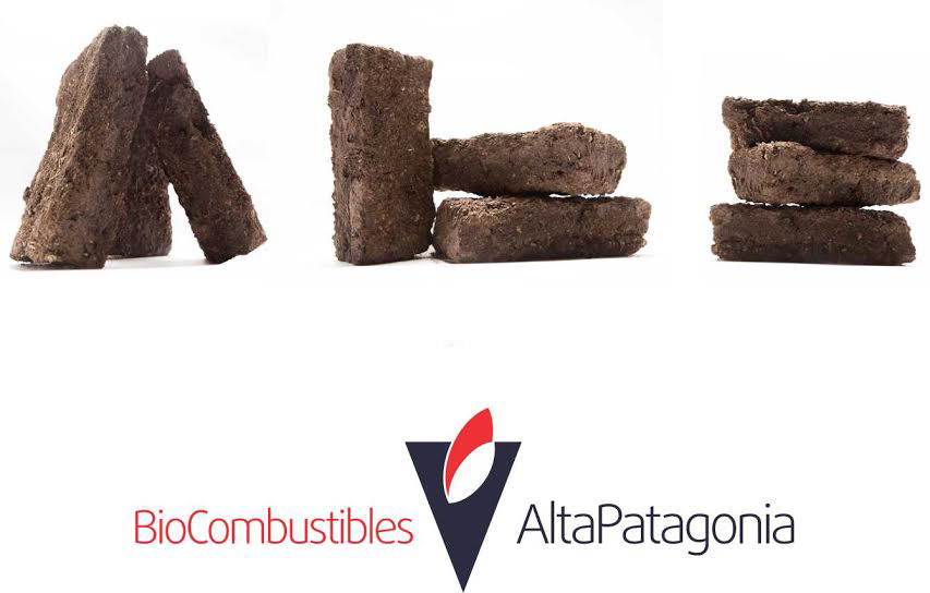 bio-combustibles