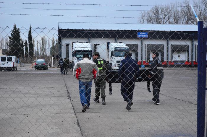 REGINA- ADUANA PROCEDIMIENTO CAMION CON COCAINA