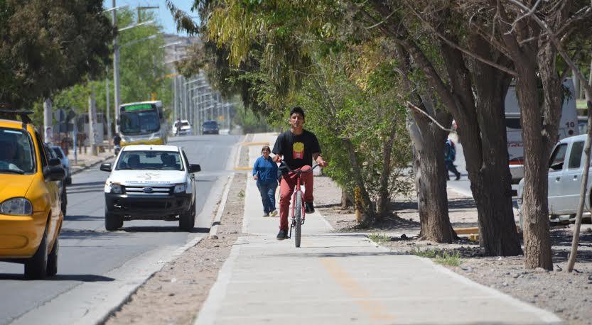 Bicisenda (1)