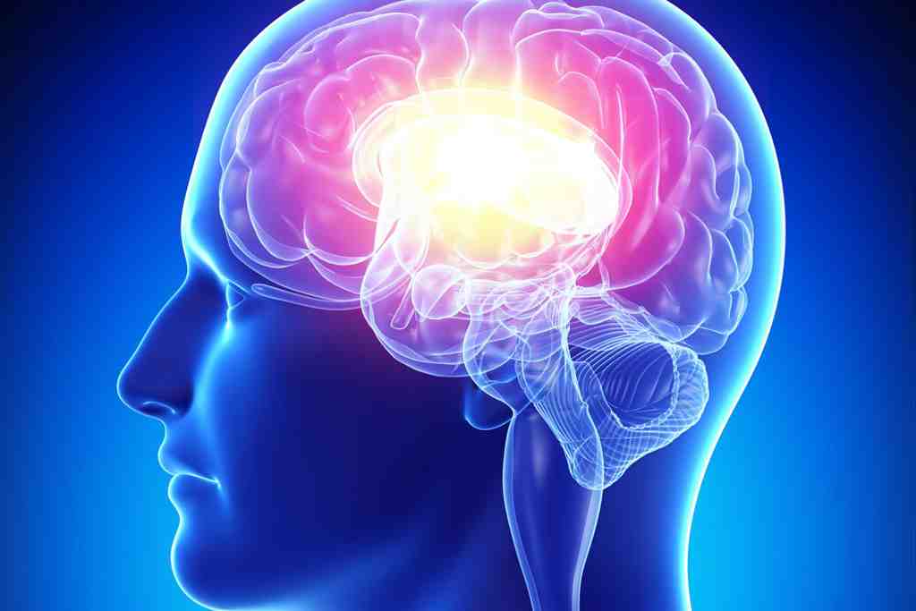 cerebro