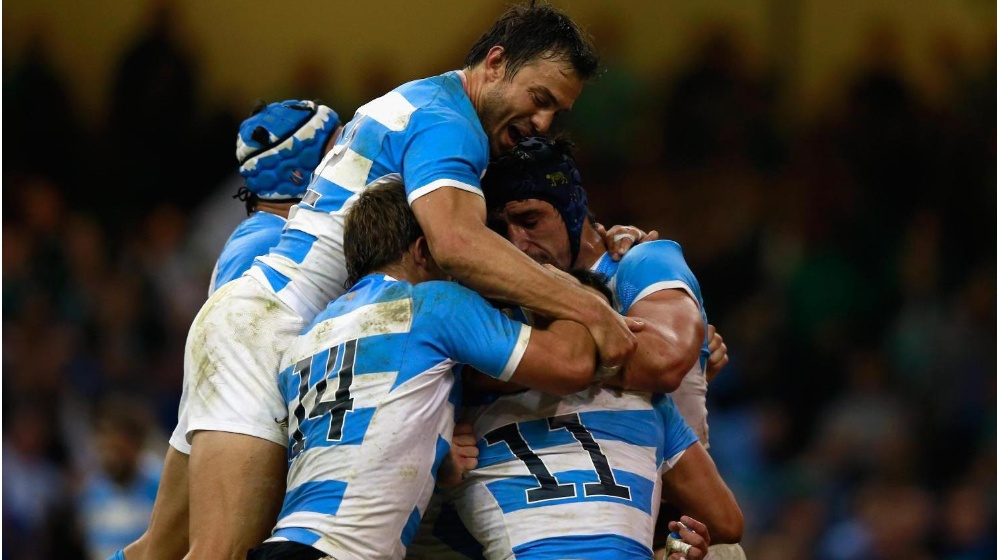 los pumas02