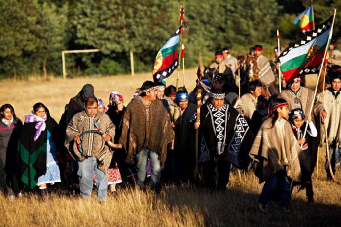 mapuches