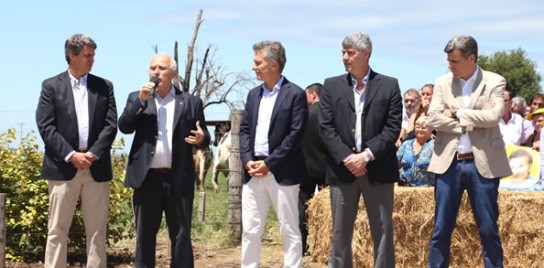 131752_provinciales