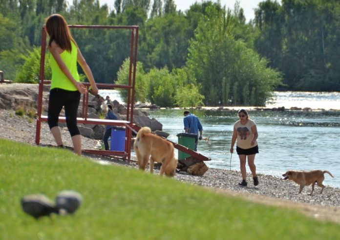perro-balneario-