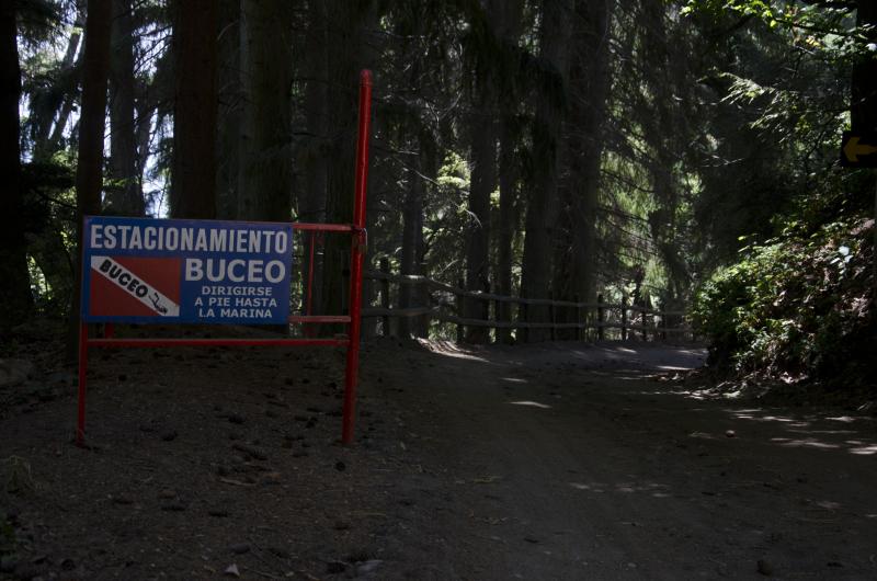 buceo