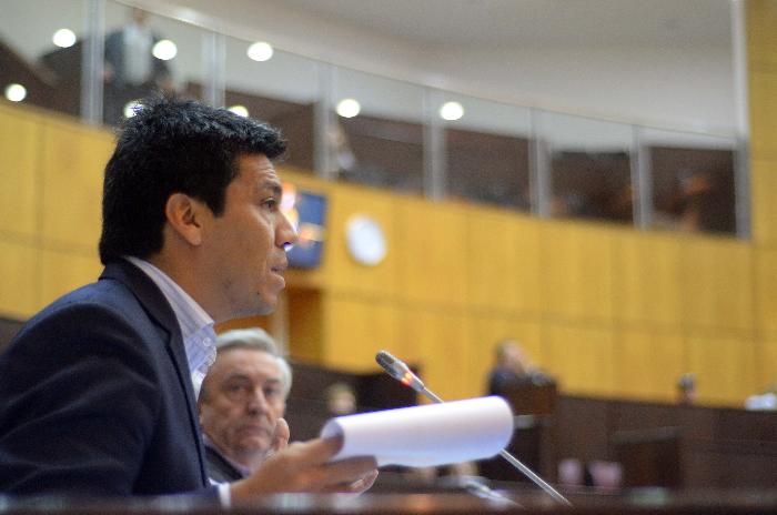 nqn sesión legislatura foto mati subat 21-05-2014