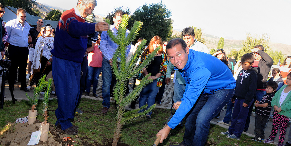 GUTIERREZ FIESTA DEL PEHUEN