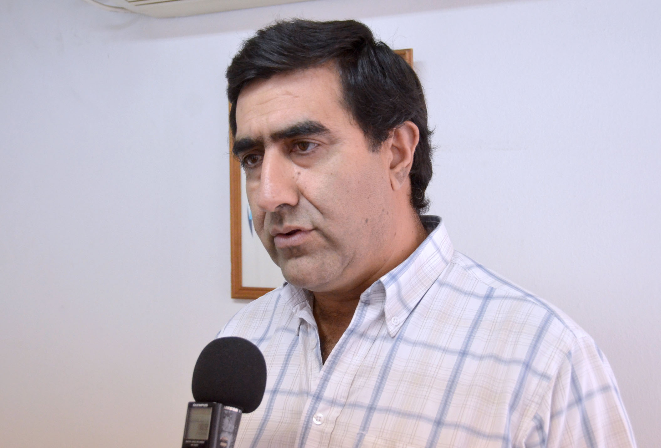 artaza economia