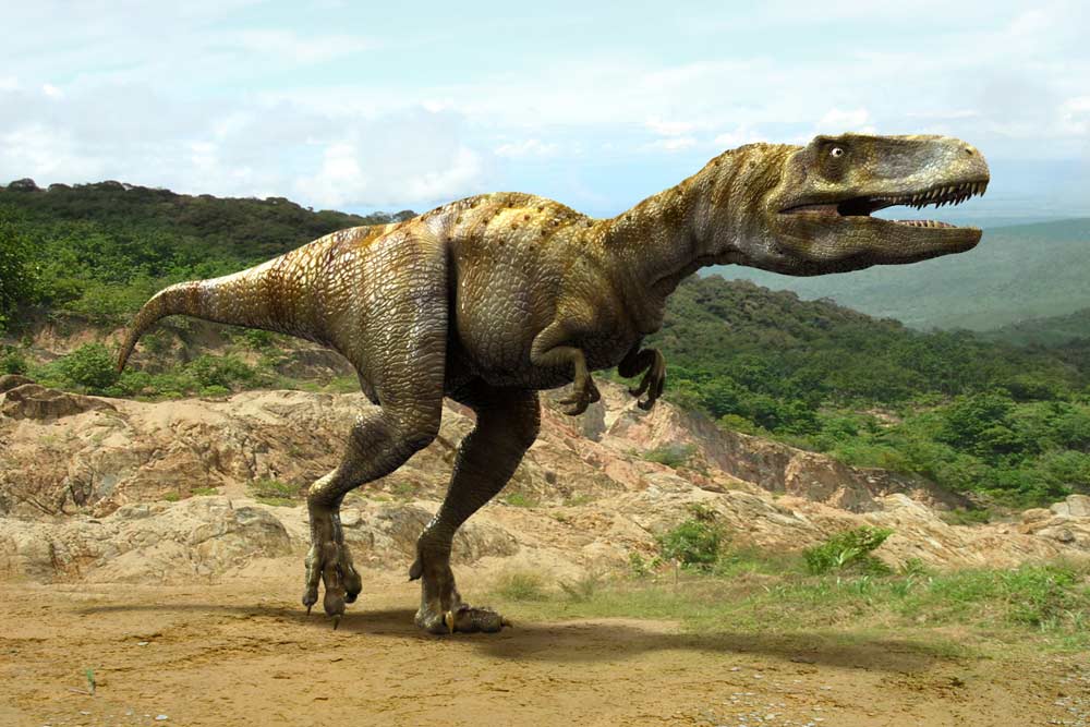 dino