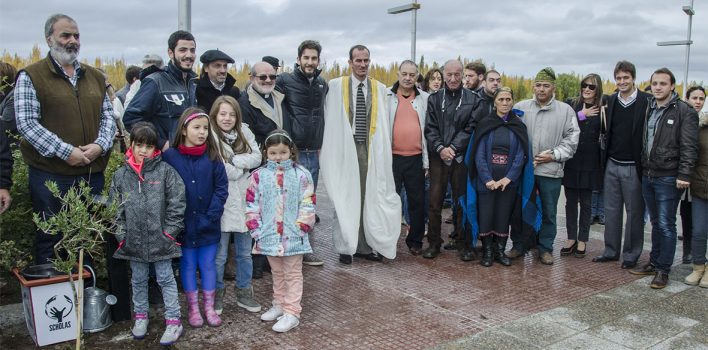 Web-Comunidades-religiosas-plantan-olivo-de-la-paz-3373-708x350