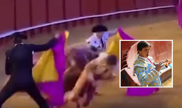Un torero sufrió una dura corneada y se salvó de milagro