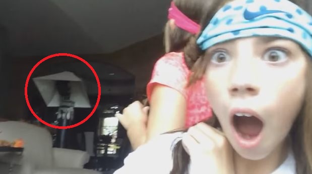Viral: La verdadera historia del gato electrocutado