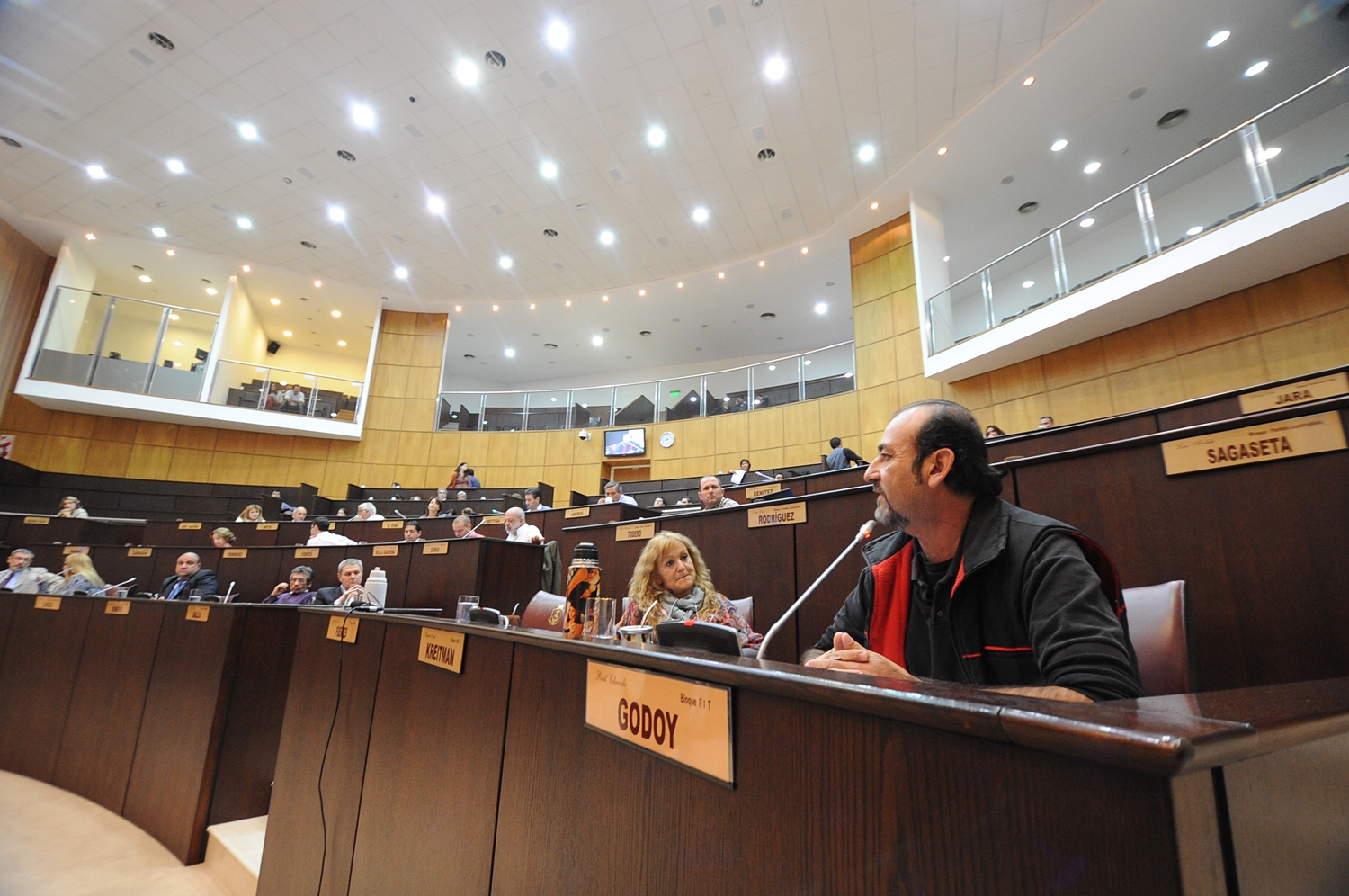 godoy-legislatura