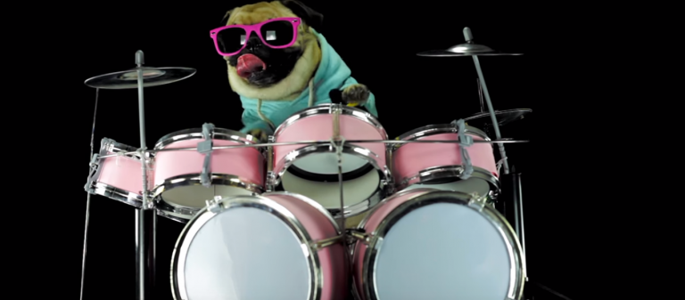 Viral: Un perro rockea al ritmo de Metallica