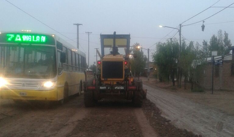 colectivo