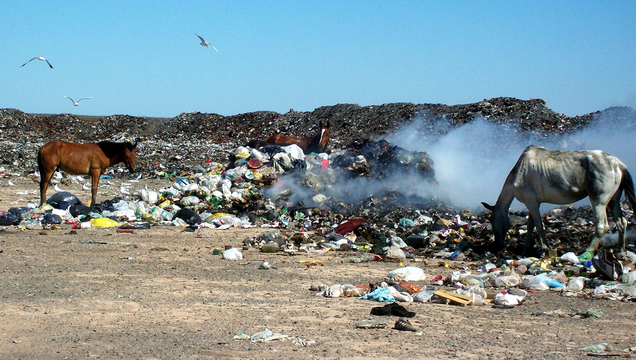 Web...El-proyecto-GIRSU-ya-cuenta-con-tierras-para-su-desarrollo