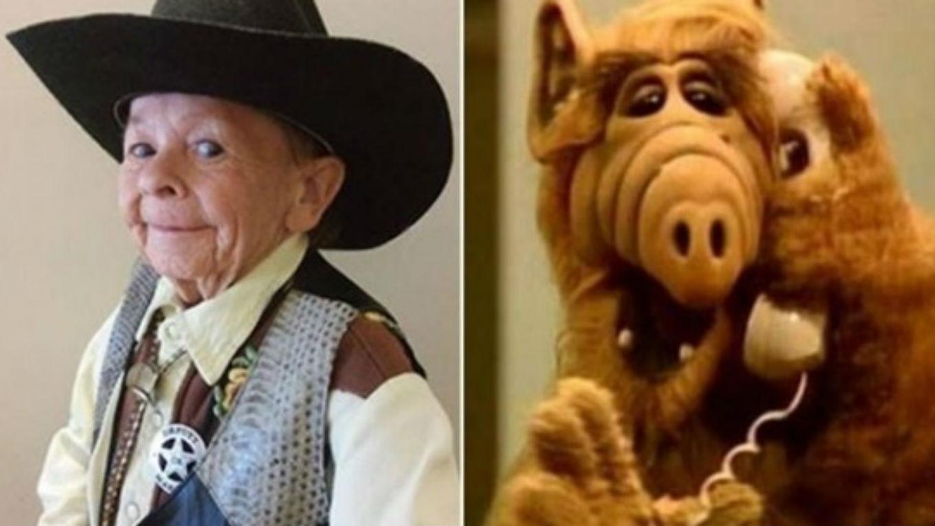 alf