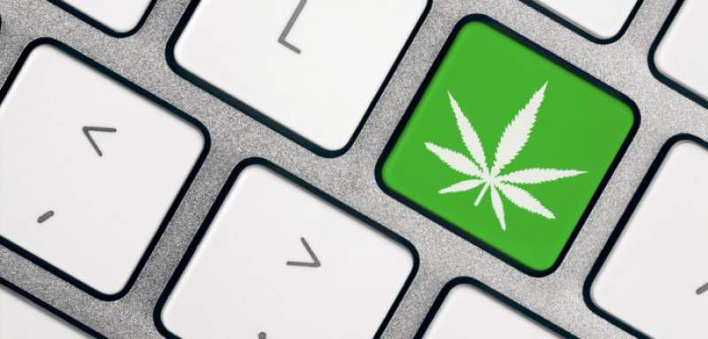 cannabis microsoft