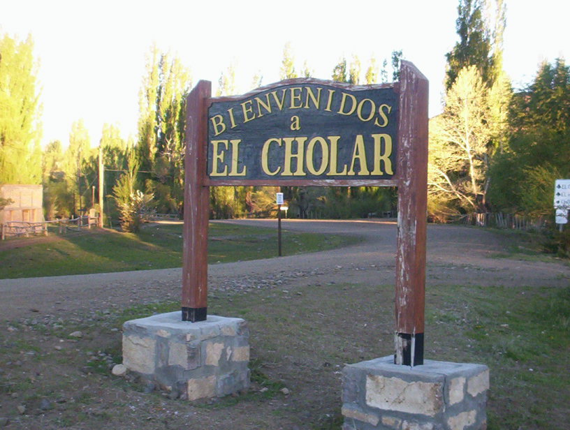 cholar