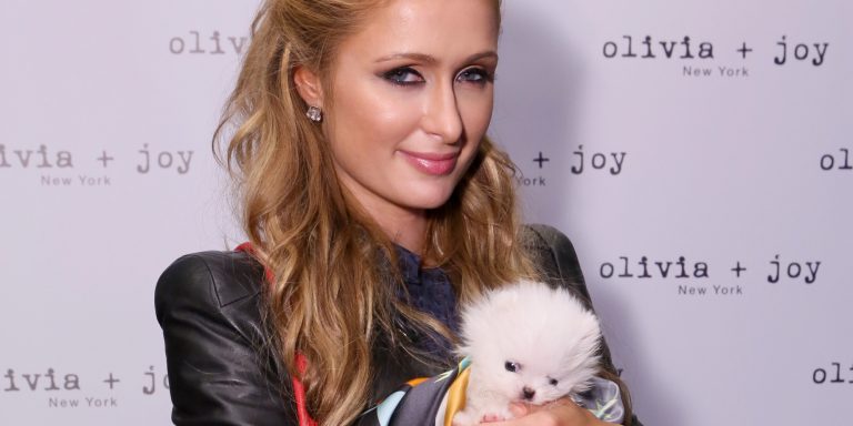 Paris Hilton salió de compras y mostró de más
