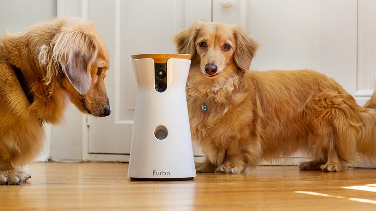 Furbo, la cámara perruna